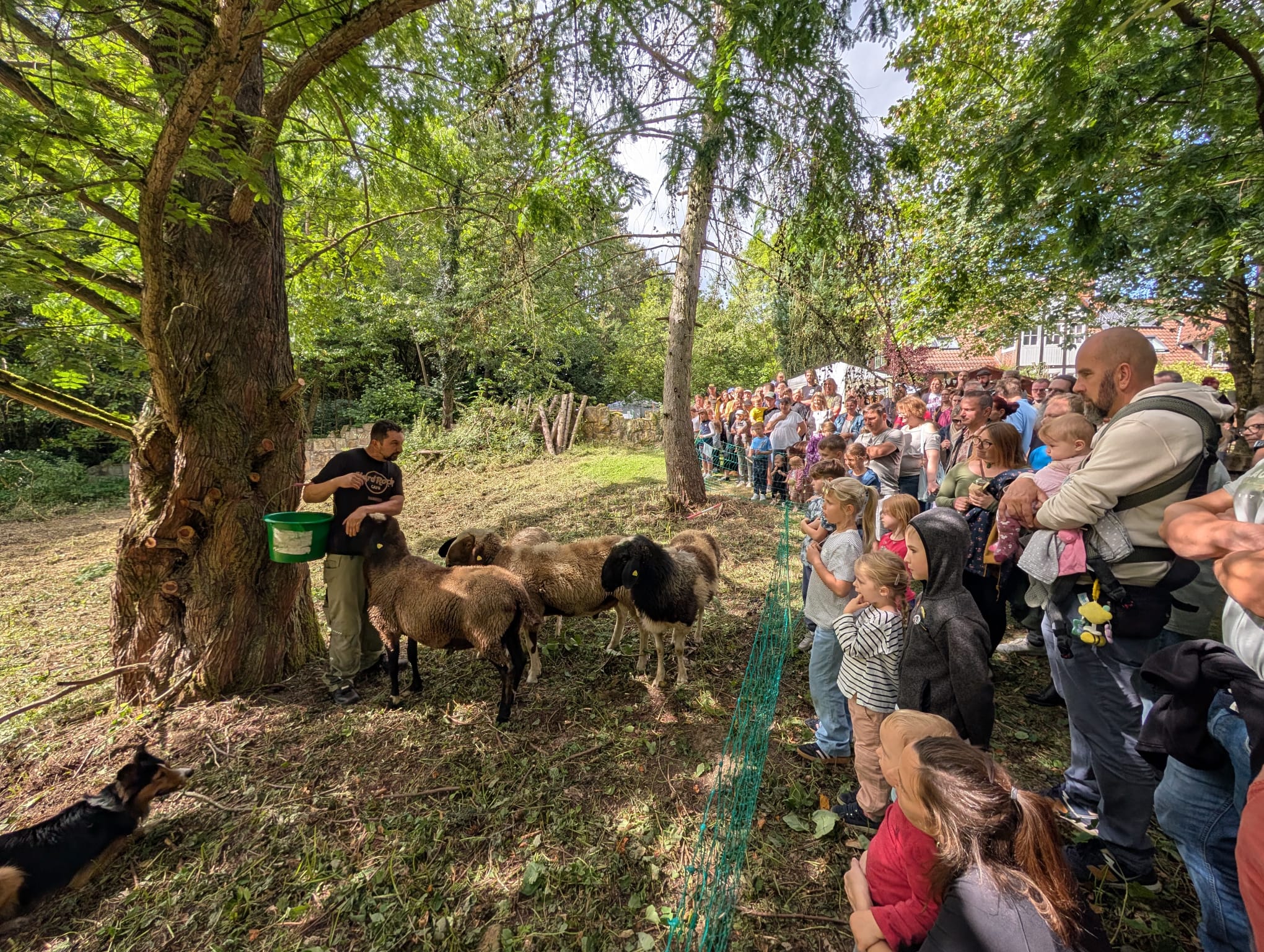 Sommerfest der Falknerei Greifenherz – Foto 5